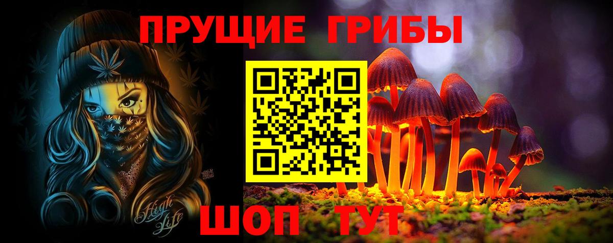 Псилоцибиновые грибы прущие грибы  Вход с VPN  Кулебаки 